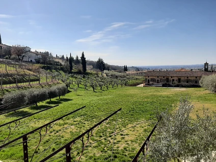 Wine walk in Valpolicella among terraced vineyards 13