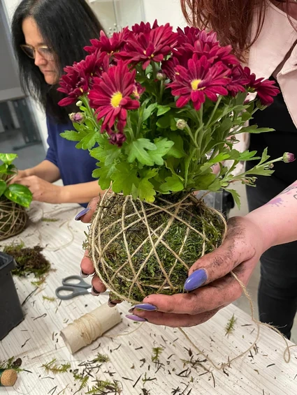 Erstellung eines Kokedama in einem Blumenlabor mit einer erfahrenen Botanikerin