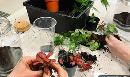 Creazione di un Terrarium in laboratorio floreale con botanica esperta 6