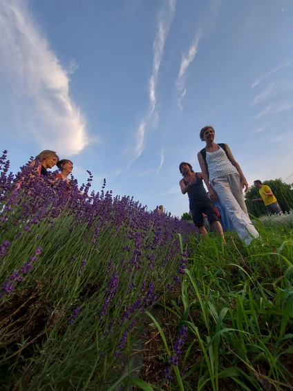 Spaziergang mit Botaniker zur Entdeckung der Heilkräuter des Gardasees 13