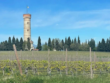 Verkostung von Lugana-Weinen in einem Weinkeller in Desenzano del Garda 9