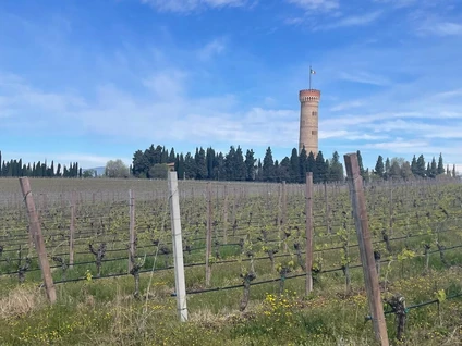 Verkostung von Lugana-Weinen in einem Weinkeller in Desenzano del Garda 5
