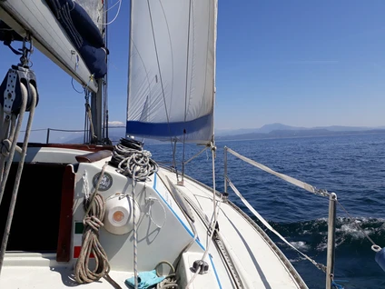 Uscita in barca a vela con skipper: Sirmione e il bacino di Desenzano 9