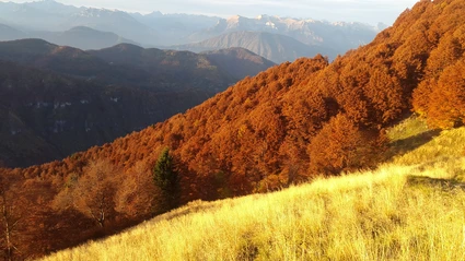 autunno.jpg