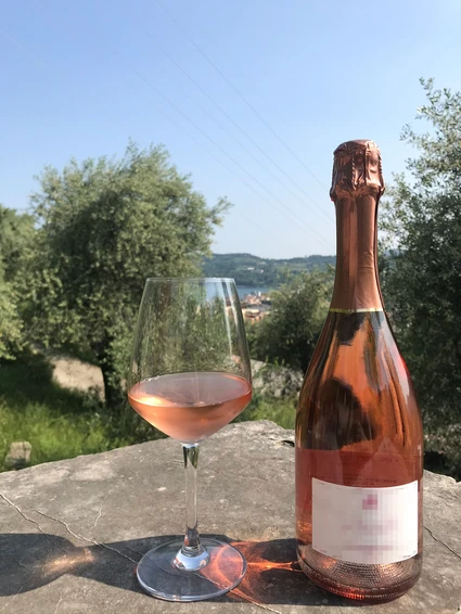 Degustazione di vini del Lago di Garda in villa del Settecento 3