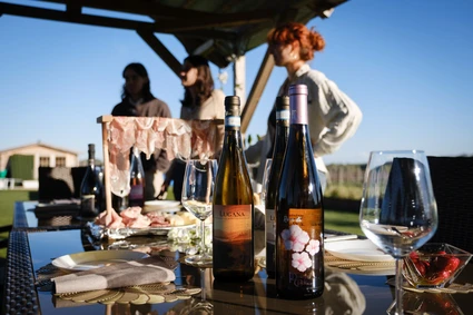 Aperitivo con degustazione di vini Lugana in vigneto al Lago di Garda 4