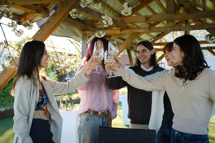 Aperitivo con degustazione di vini Lugana in vigneto al Lago di Garda 8