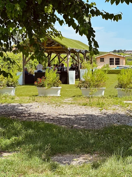 Lugana wines tasting in a vineyard at Lake Garda 5