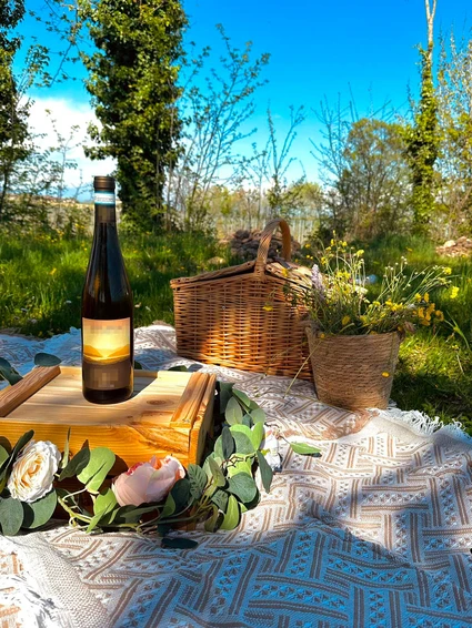 Picknick in den Weinbergen der Moränenhügel des Gardasees 4