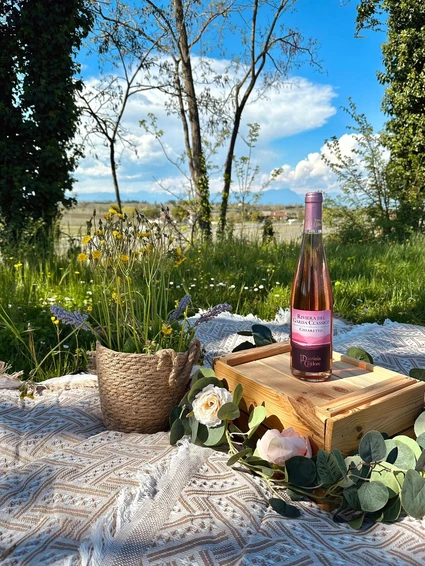 Picnic among the vineyards of the moraine hills of Lake Garda 11 Picnic among the vineyards of the moraine hills of Lake Garda 11