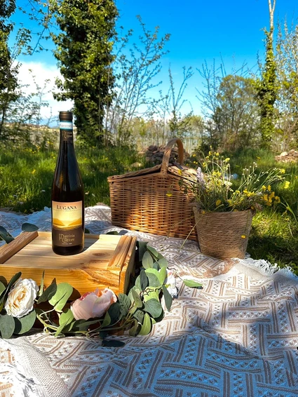 Picknick in den Weinbergen der Moränenhügel des Gardasees 10