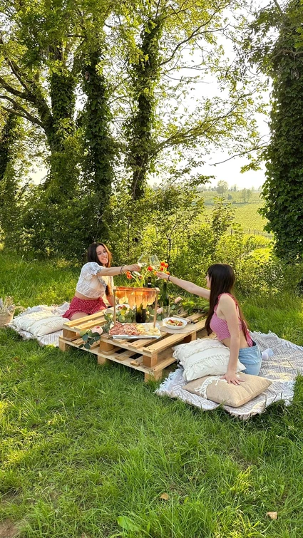Picknick in den Weinbergen der Moränenhügel des Gardasees 13
