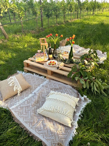 Picnic among the vineyards of the moraine hills of Lake Garda 5 Picnic among the vineyards of the moraine hills of Lake Garda 5
