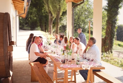Wine tasting under the tree with farm snack 7