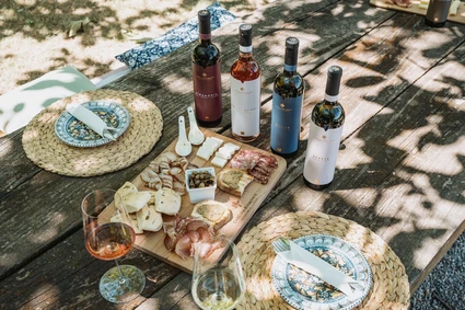 Country picnic at Lake Garda 6