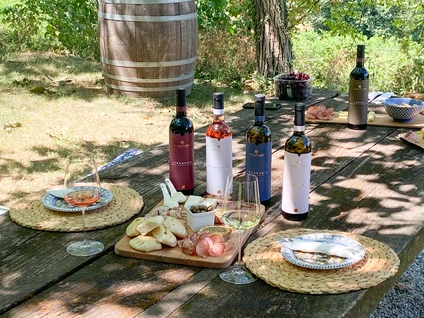 Country picnic on Lake Garda hills