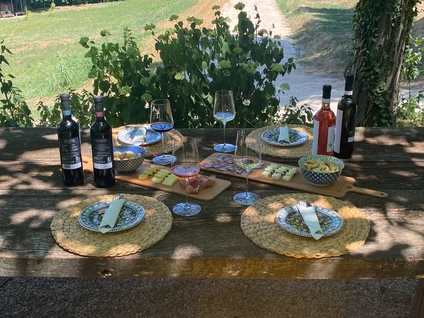 Wine tasting under the tree with farm snack 10