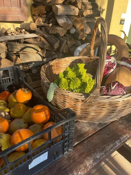 Cooking class with shopping at the market at Desenzano del Garda