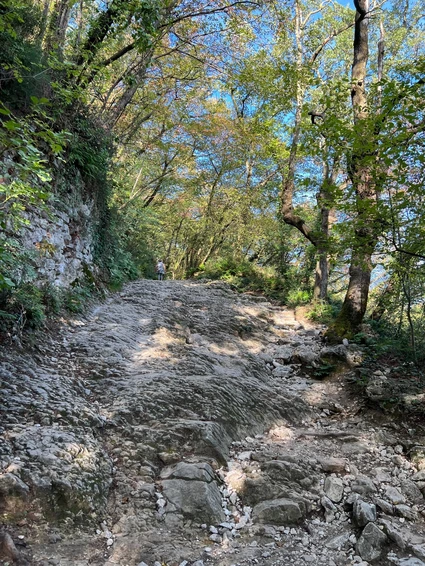 Walking tour to the Rocca di Garda and the Camaldolesi Sanctuary 7