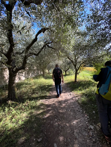 Walking tour to the Rocca di Garda and the Camaldolesi Sanctuary 0