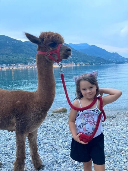 Alpaca Walk at Lake Garda from San Felice 1
