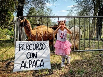 Visit to the Alpaca Farm in the hinterland of Lake Garda 0