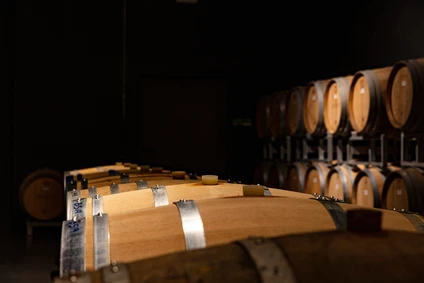 Tour e degustazione di vini Lugana: tra tradizione e innovazione