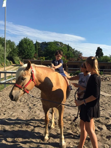 Riding lesson with horseback riding in Upper Garda Trentino 5