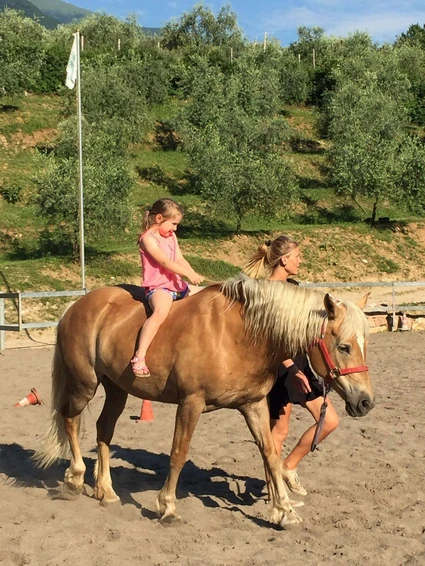 Riding lesson with horseback riding in Upper Garda Trentino 6