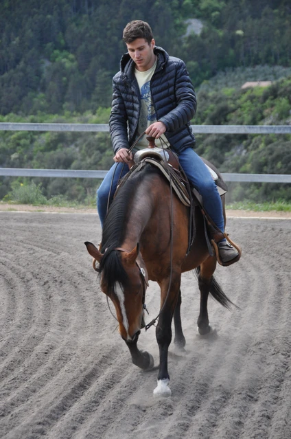 Riding lesson with horseback riding in Upper Garda Trentino 1