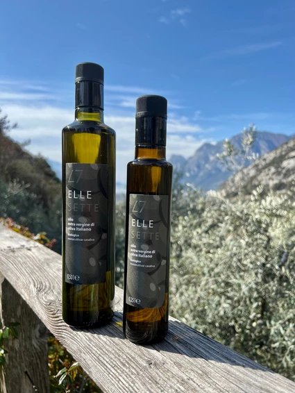Degustazione di olio evo biologico sulle colline dell'Alto Garda Trentino 8