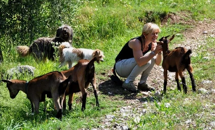 Walk with donkeys and visit to educational farm in Garda Trentino 6