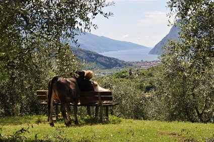 Besuch des didaktischen Bauernhofs in der Landschaft des oberen Gardasees im Trentino
