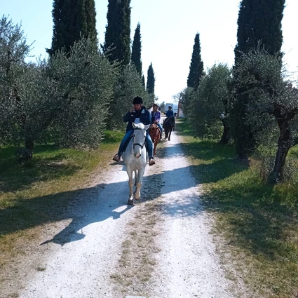Riding a horse through hills and olive groves at Lake Garda 1