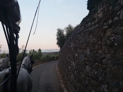 Carriage ride with driver at Lake Garda 1