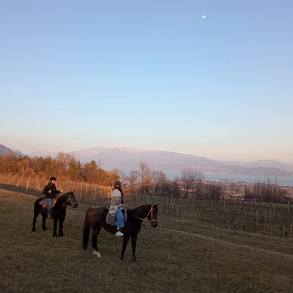 Riding a horse through hills and olive groves at Lake Garda 2