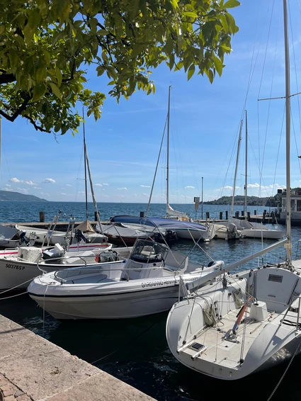 Tour privato con conducente da Gargnano: la costa dei limoni sul Garda Tour privato con conducente da Gargnano: la costa dei limoni sul Garda