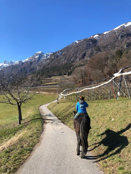 3-hour horseback ride through nature and historic villages in the Trentino Dolomites 4
