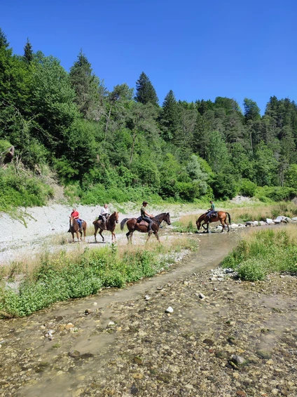 2-hour horseback ride through nature and historic villages in the Trentino Dolomites 1