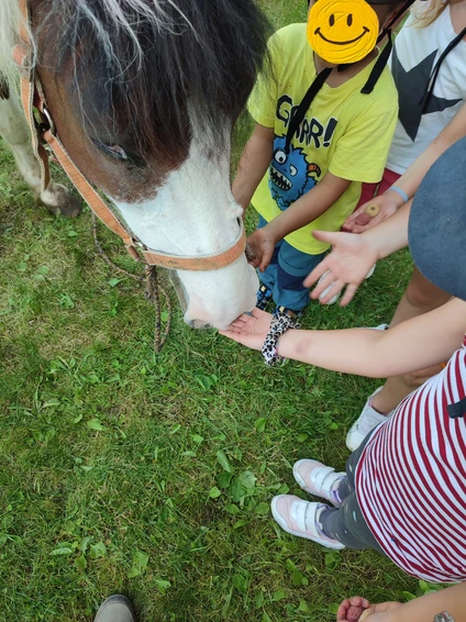 Introductory horse trail for children with zero km snack in Trentino 0