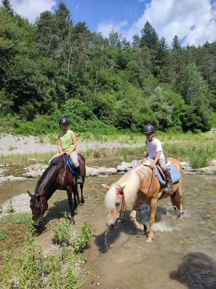 Passeggiata di 3 ore a cavallo tra natura e borghi storici nelle Dolomiti trentine 8