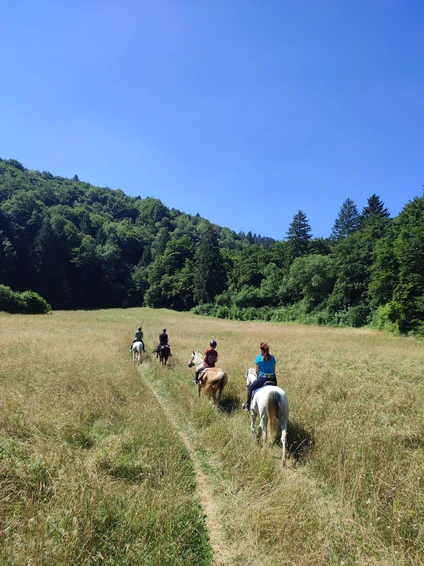 Passeggiata di 2 ore a cavallo tra natura e borghi storici nelle Dolomiti trentine 4