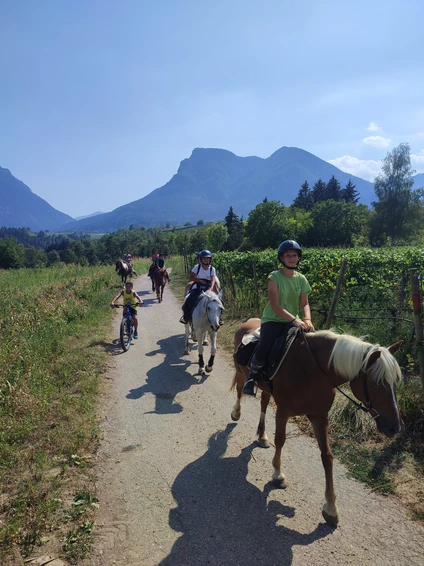 Passeggiata di 2 ore a cavallo tra natura e borghi storici nelle Dolomiti trentine 6