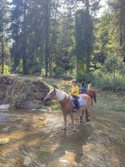 Horseback riding with a stop and tasting on a Trentino farm 0
