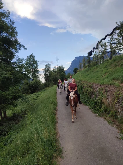 Horseback riding with a stop and tasting on a Trentino farm 1