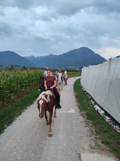 Horseback riding with a stop and tasting on a Trentino farm 3