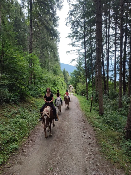 Passeggiata di 2 ore a cavallo tra natura e borghi storici nelle Dolomiti trentine 8