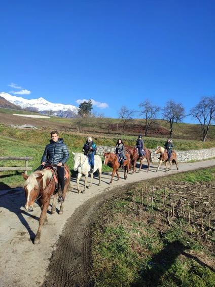 Passeggiata di 3 ore a cavallo tra natura e borghi storici nelle Dolomiti trentine 0