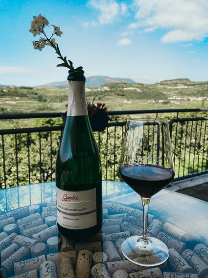 Yoga su terrazza panoramica e degustazione di vini in una cantina della Valpolicella 5