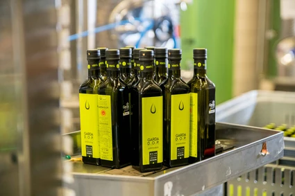 Olive oil tour: discovering San Felice del Benaco on foot 1